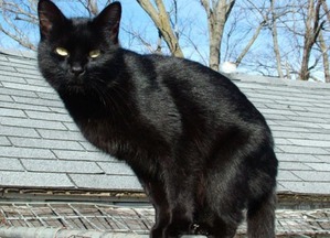 ����: ������� ������ � �����