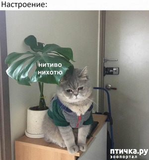 ����: ����������!