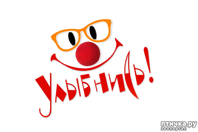 ���� 2: �������, ������ ���, 32 ������! �������� ����� ����������!