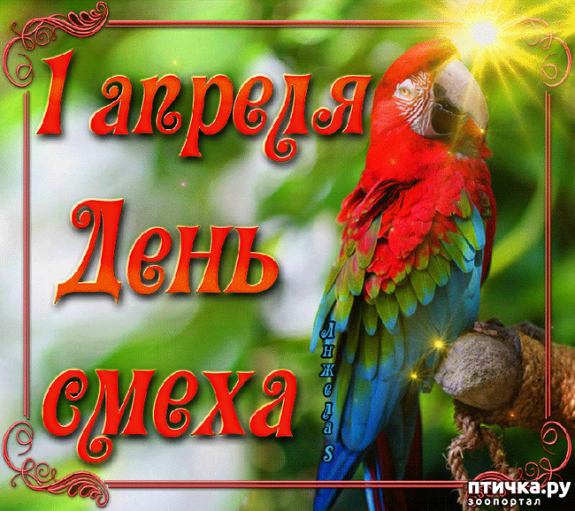 ���� 4: � ������ ������ ����-����-����!