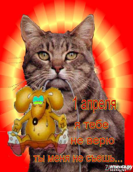 ���� 5: � ������ ������ ����-����-����!