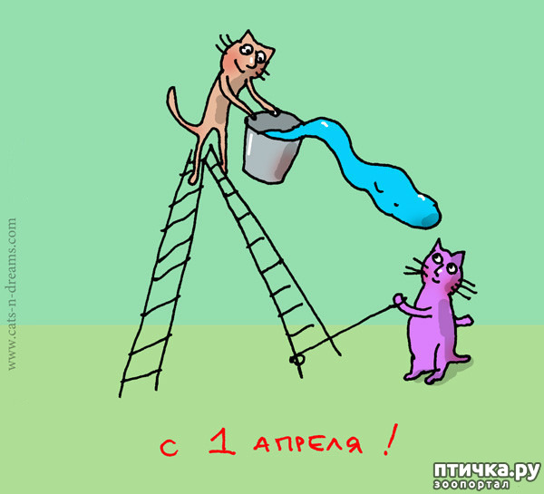 ���� 6: � ������ ������ ����-����-����!