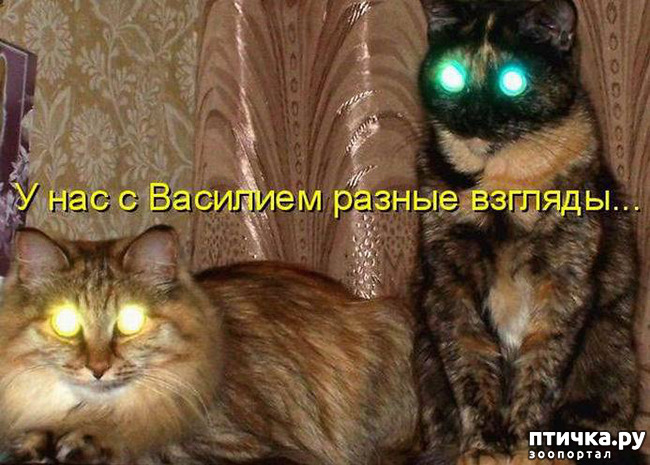 ���� 7: � ������ ������ ����-����-����!