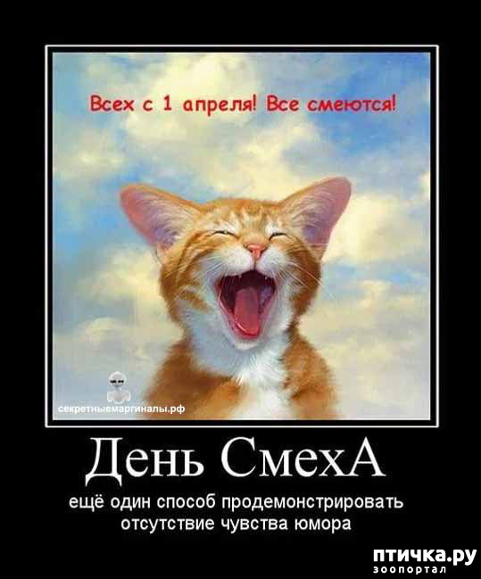 ���� 8: � ������ ������ ����-����-����!