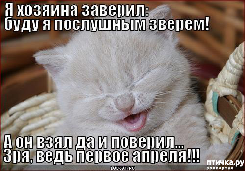 ���� 3: � ������ ������ ����-����-����!