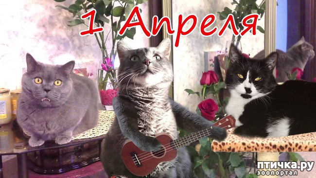 ���� 9: � ������ ������ ����-����-����!