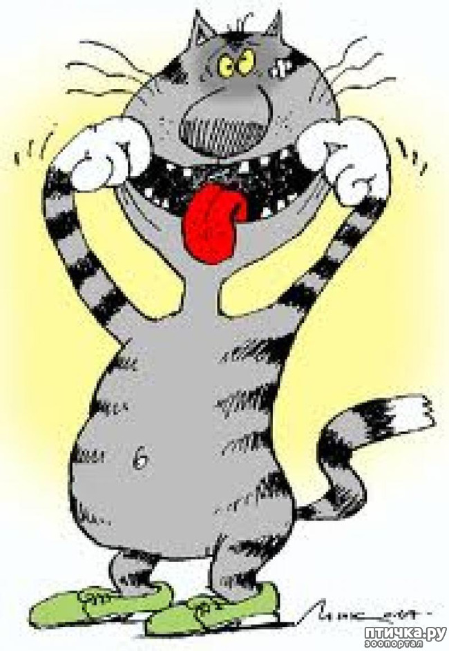 ���� 10: � ������ ������ ����-����-����!