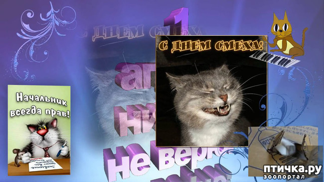 ���� 11: � ������ ������ ����-����-����!