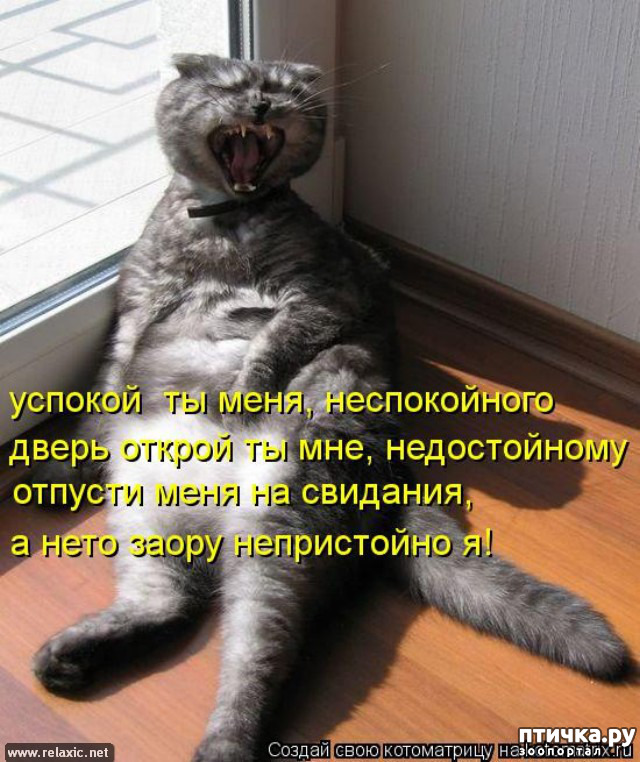 ���� 12: � ������ ������ ����-����-����!