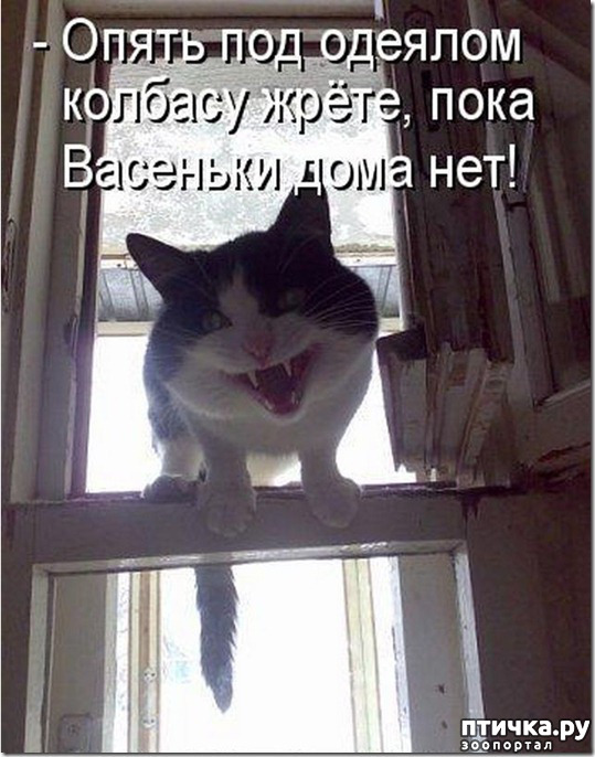 ���� 2: � ������ ������ ����-����-����!