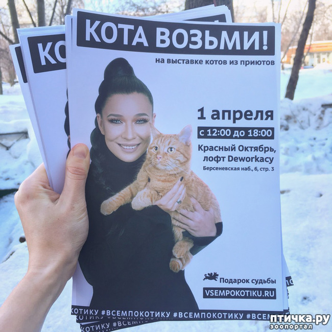 ���� 13: � ������ ������ ����-����-����!