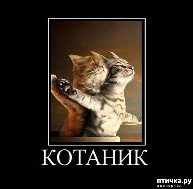 ���� 14: � ������ ������ ����-����-����!