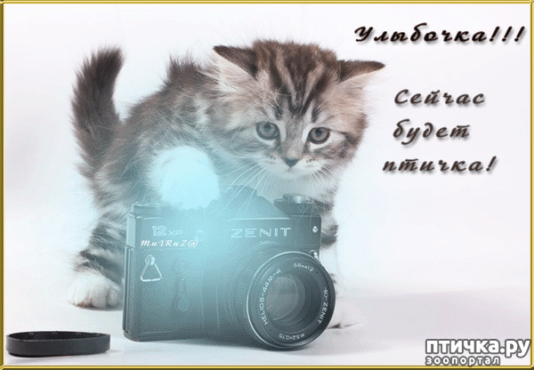 ���� 15: � ������ ������ ����-����-����!