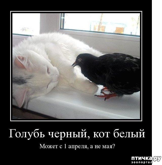 ���� 16: � ������ ������ ����-����-����!