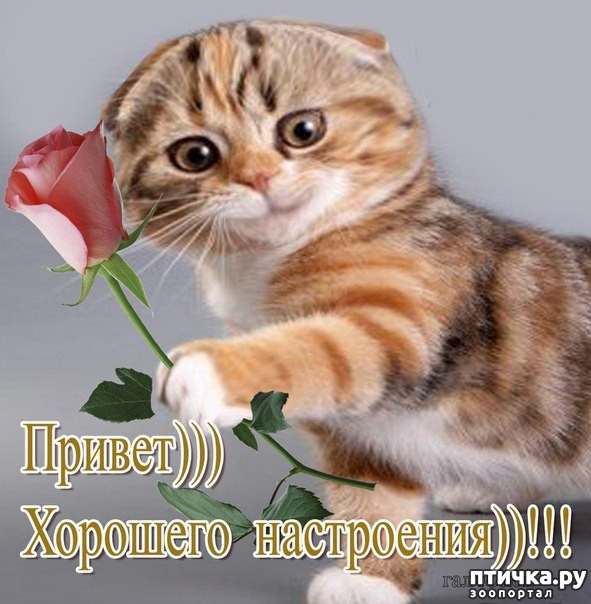 ���� 17: � ������ ������ ����-����-����!