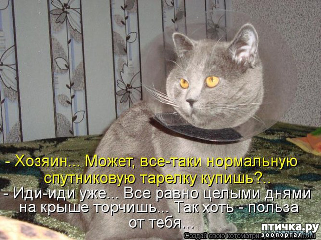 ���� 18: � ������ ������ ����-����-����!