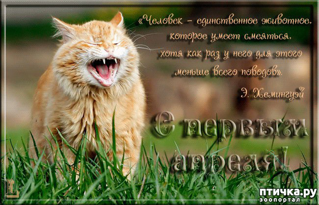 ���� 20: � ������ ������ ����-����-����!