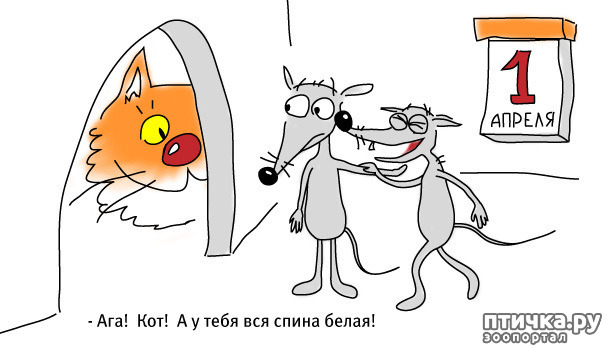 ���� 21: � ������ ������ ����-����-����!