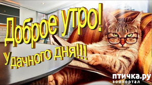 ����: � ������ ������ ����-����-����!