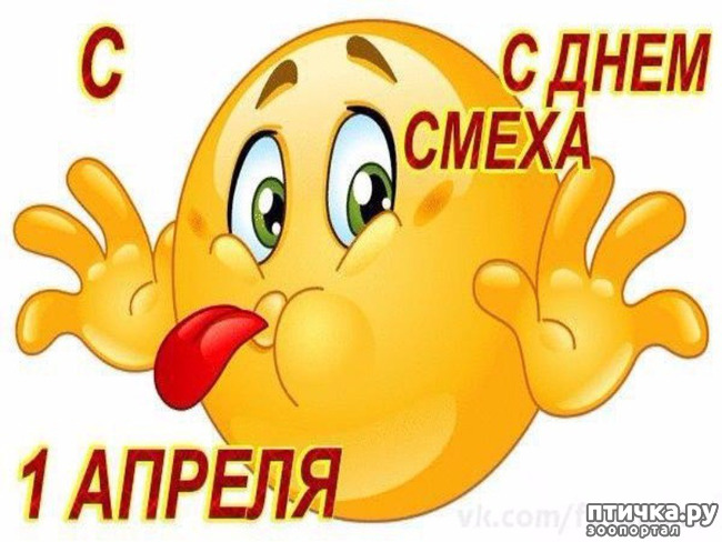 ���� 4: �������, ������ ���, 32 ������! �������� ����� ����������!