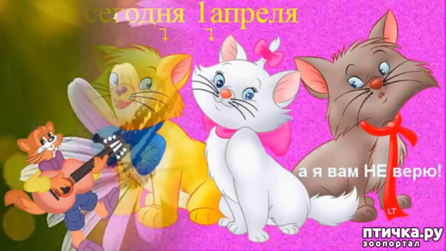 ���� 23: � ������ ������ ����-����-����!