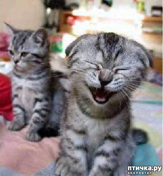 ���� 24: � ������ ������ ����-����-����!