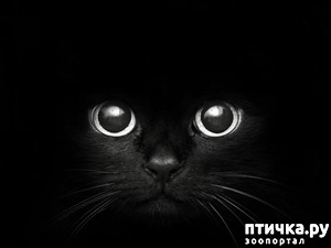 ����: ��� ������