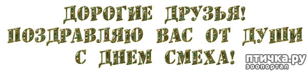 ���� 6: �������, ������ ���, 32 ������! �������� ����� ����������!