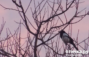 ����: ������ - ����� ���������