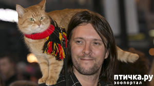 ����: ������������ ��� �� ������ ���