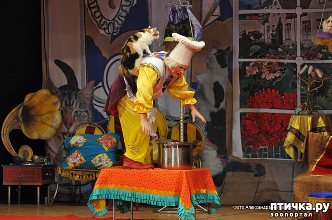 ���� 21: ������� �������� ������ � ��� �������������� �������.