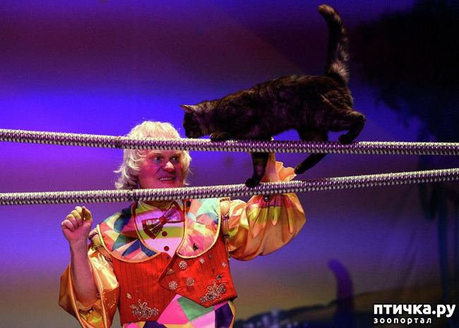 ���� 22: ������� �������� ������ � ��� �������������� �������.