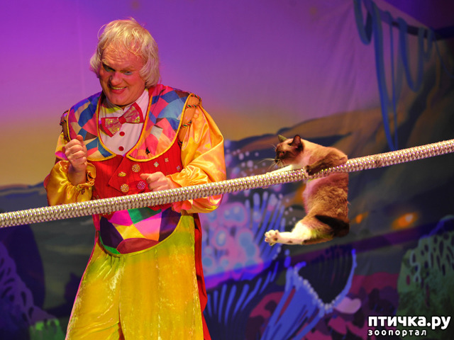 ���� 23: ������� �������� ������ � ��� �������������� �������.