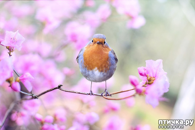 ���� 2: ���� ����!