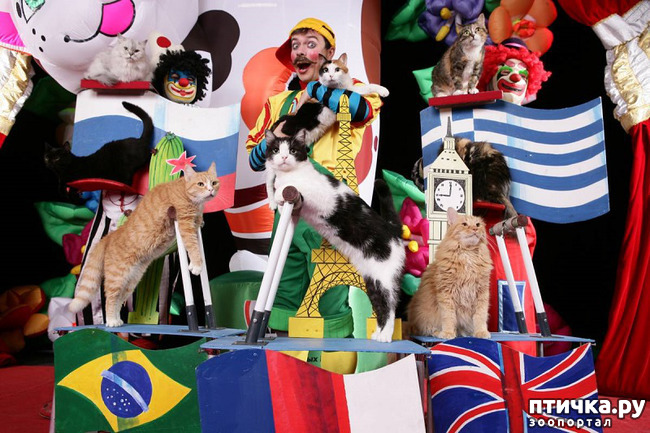 ���� 25: ������� �������� ������ � ��� �������������� �������.