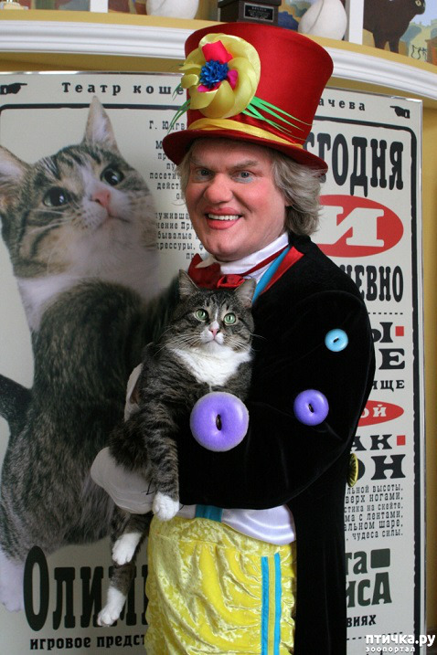 ���� 27: ������� �������� ������ � ��� �������������� �������.