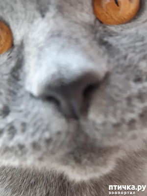 ����: �������� ����������