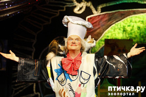 ����: ������� �������� ������ � ��� �������������� �������.