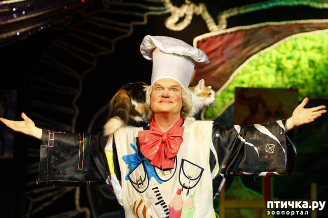 ���� 1: ������� �������� ������ � ��� �������������� �������.