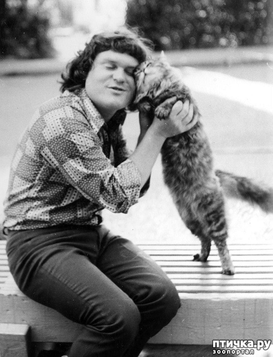 ���� 2: ������� �������� ������ � ��� �������������� �������.