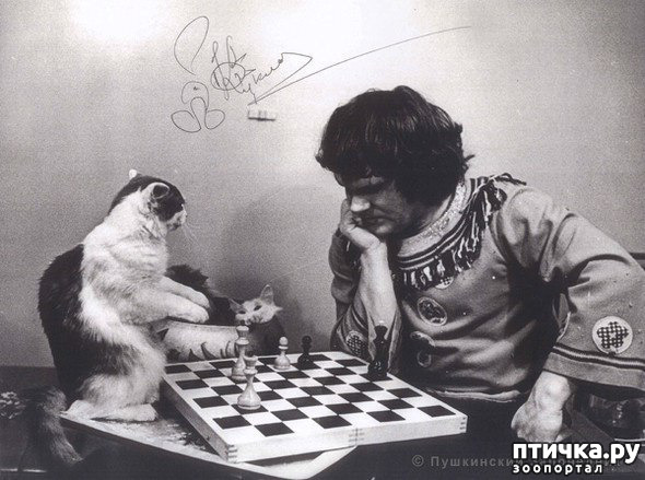 ���� 3: ������� �������� ������ � ��� �������������� �������.