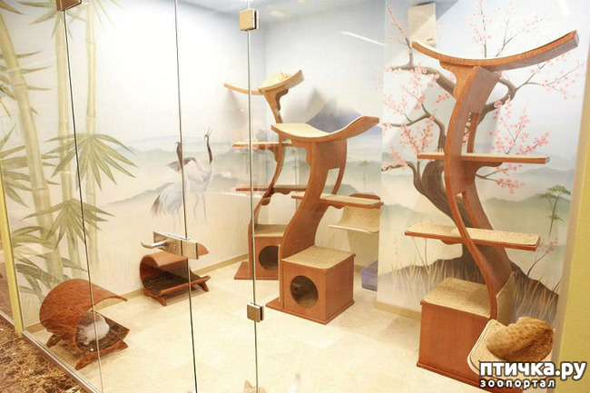 ���� 5: ������� �������� ������ � ��� �������������� �������.