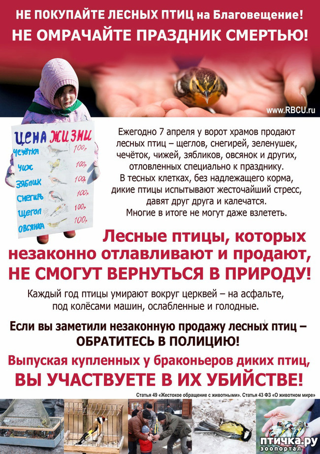 ���� 4: ���� ����!