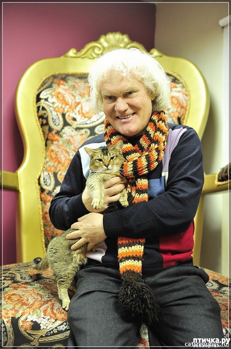 ���� 7: ������� �������� ������ � ��� �������������� �������.