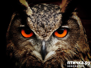 ����: ���� ����!