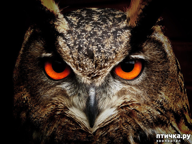 ���� 1: ���� ����!