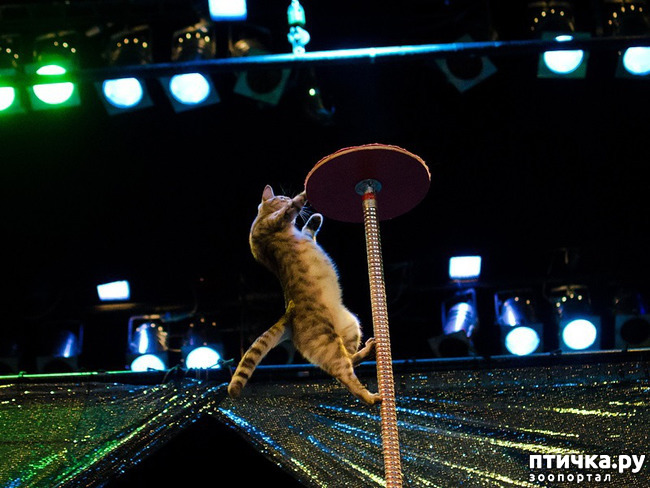 ���� 13: ������� �������� ������ � ��� �������������� �������.