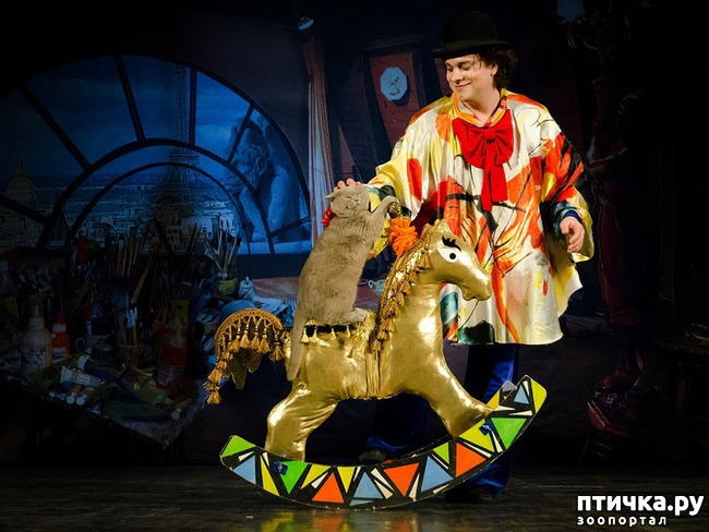 ���� 14: ������� �������� ������ � ��� �������������� �������.