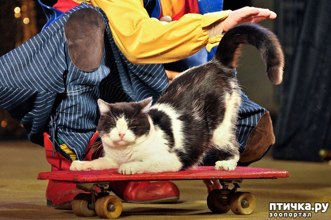 ���� 15: ������� �������� ������ � ��� �������������� �������.