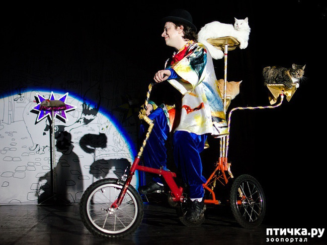 ���� 16: ������� �������� ������ � ��� �������������� �������.